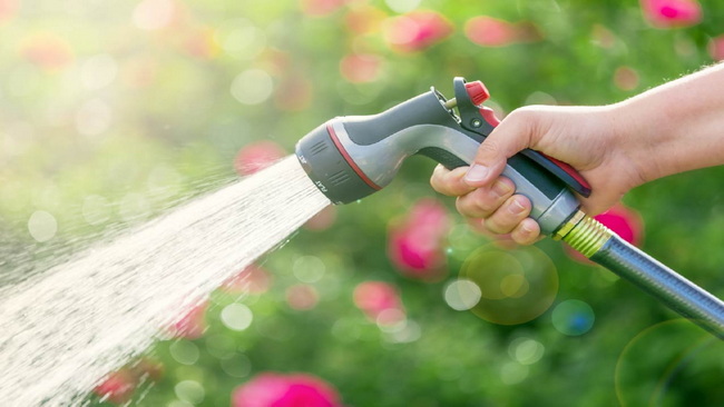 How to Choose a Durable, Kink-Resistant Hose for Your Home and Garden