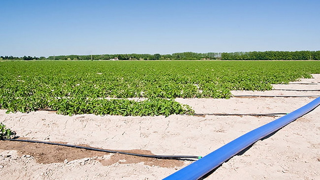 The Complete Guide to Irrigation Hoses
