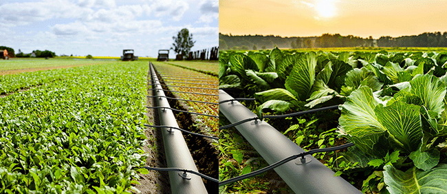 The Complete Guide to Irrigation Hoses (And Why TPU Layflat Hose Is Shaping Modern Agriculture)