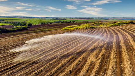 Slurry Irrigation Field Aerial View.jpg